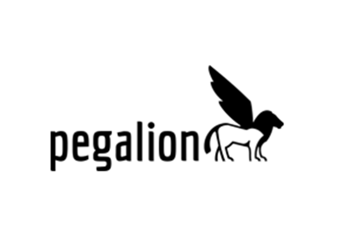 gdh_mitglieder_pegalion