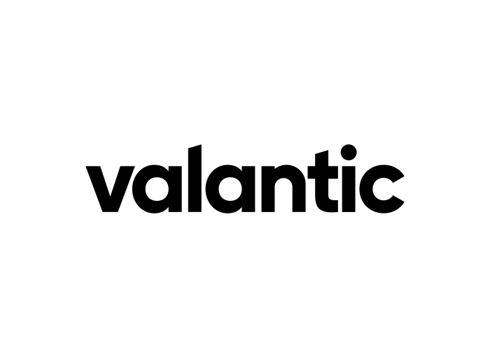 valantic logo (netz98)